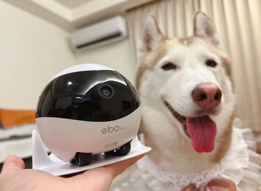 寵物留守的自動化誤區：攝影機、餵食器與空調，哪些是主人安心？
